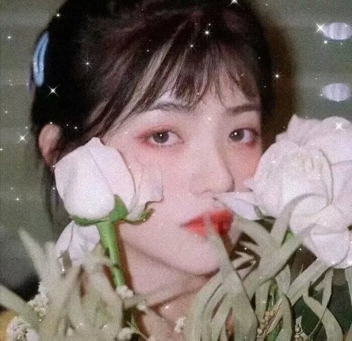 知音